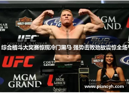 综合格斗大奖赛惊现冷门黑马 强势击败劲敌震惊全场