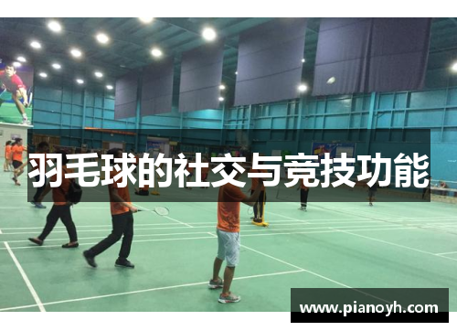 羽毛球的社交与竞技功能