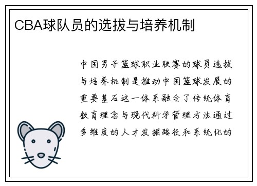 CBA球队员的选拔与培养机制