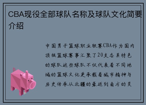 CBA现役全部球队名称及球队文化简要介绍