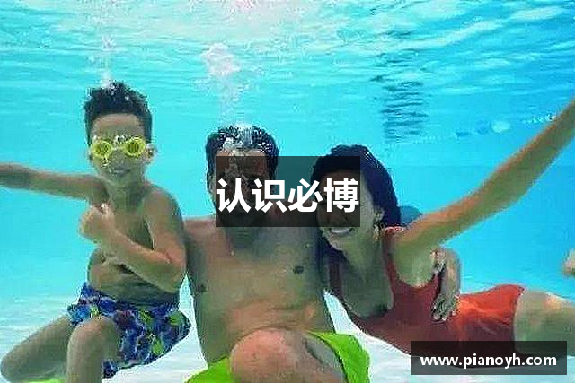认识必博